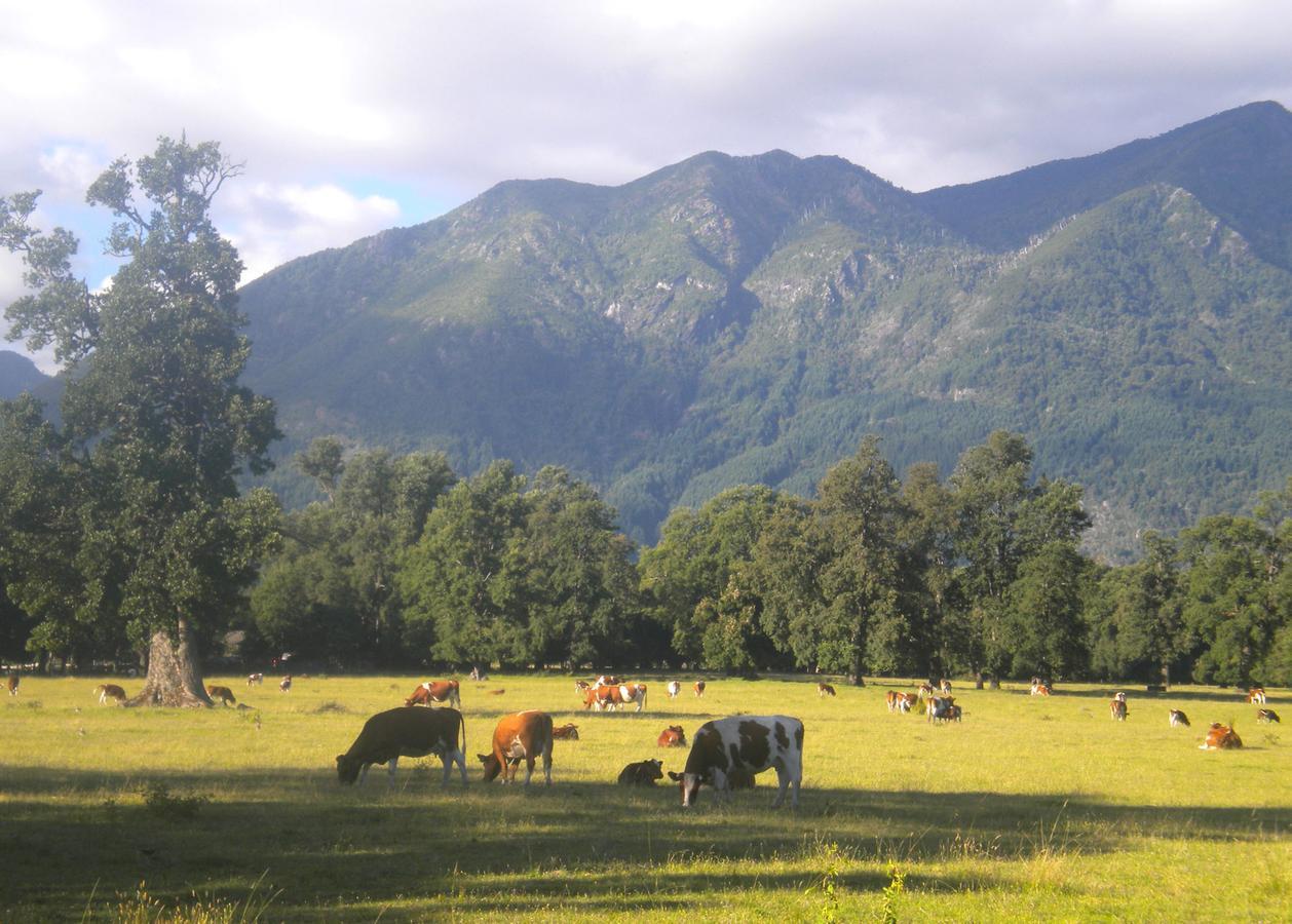 Hostal Tour Pucon Bagian luar foto